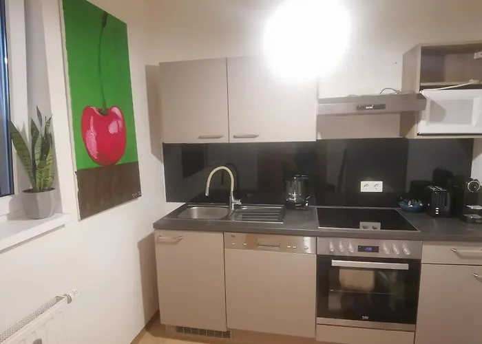 Graz! Ruhe An Der - Zentral Apartman *